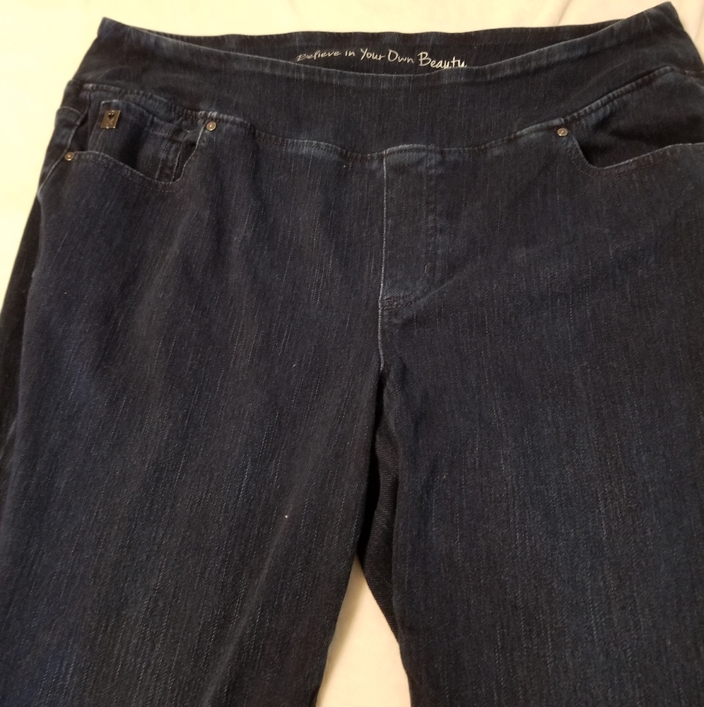 Belle Kim Gravel Jeggings 22W